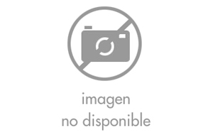 server hosting seguridad